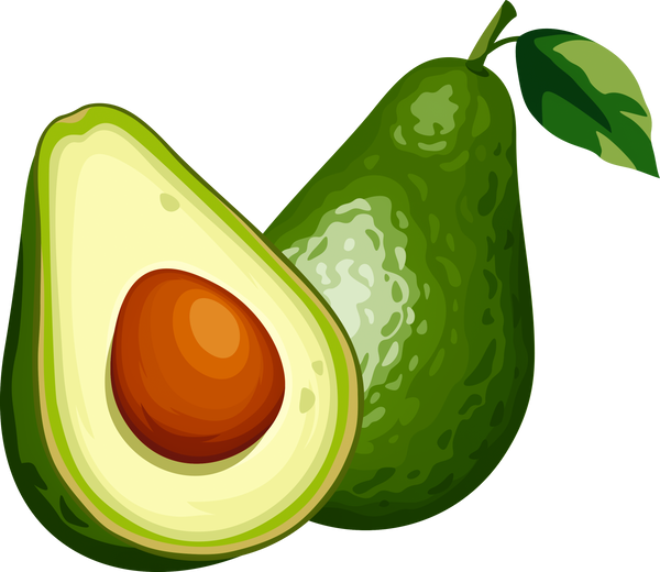 Avocado